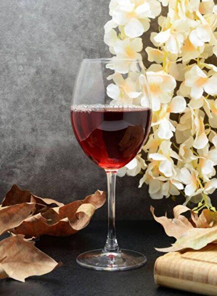Набір келихів для вина Pasabahce 615мл Enoteca 2шт (44738-2)