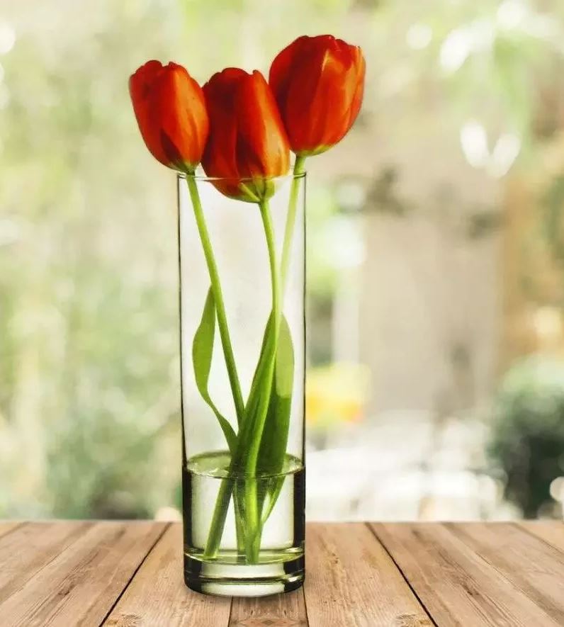 Ваза Циліндр Pasabahce h265мм Botanica 1шт (43767)