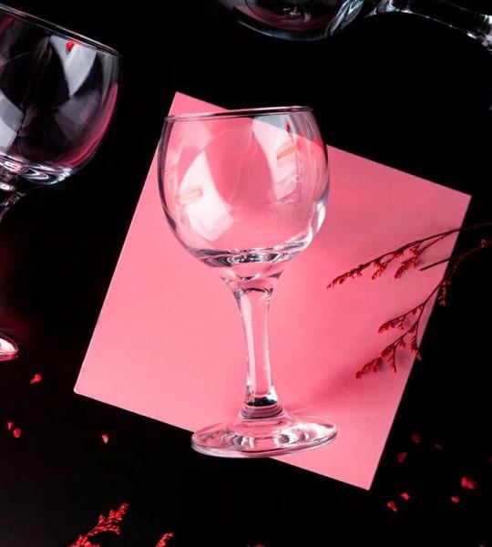 Келих для вина Pasabahce 225мл Bistro 1шт (44412-1)
